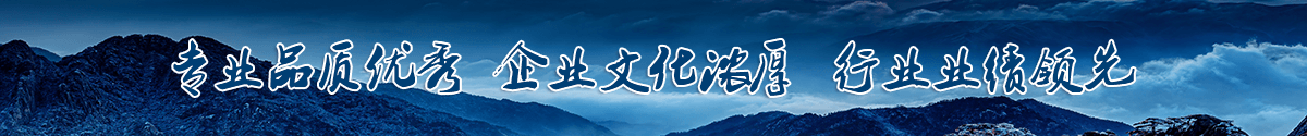 落實全面從嚴治黨聚力推動追趕超越